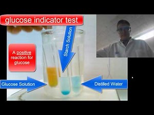 Diffusion Through a Membrane Lab- Chemical Indicators