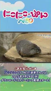 【どうぶつ】ウッドチャック／「にこにこ・ぷん NEO」