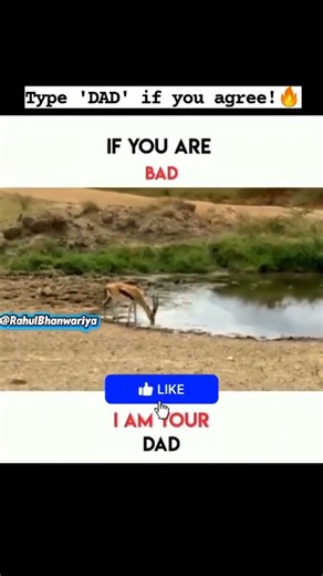 Bap Bap Hota H Or Beta Beta Hota Hai | Rahul Bhanwariya | #lion #shilari