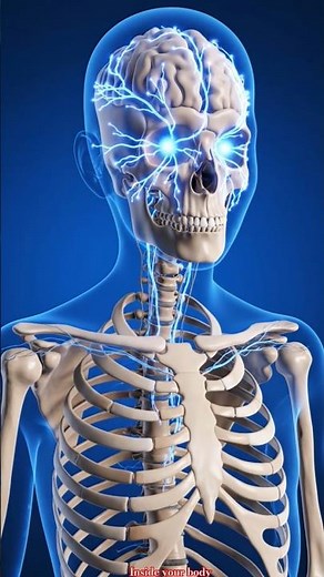 Why Your Eye Suddenly Twitches (It’s Not Random)