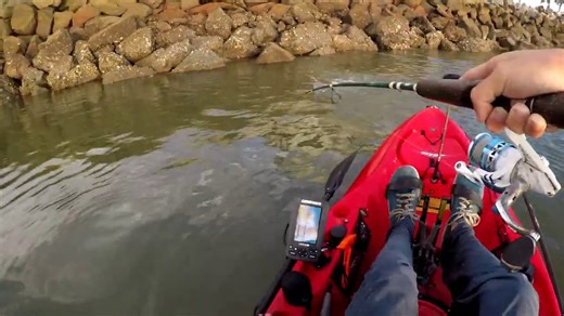 My First Topwater Fish and Surprise Catch on Fiddler Crabs – Beaufort SC Kayak Fishing