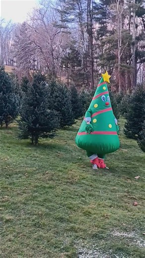 1.9K views · 46 reactions | Fun at the tree farm!! | Lewis Christmas Tree Farm | Facebook