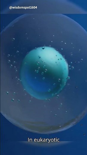 Chromosomes: The Blueprint of Life!