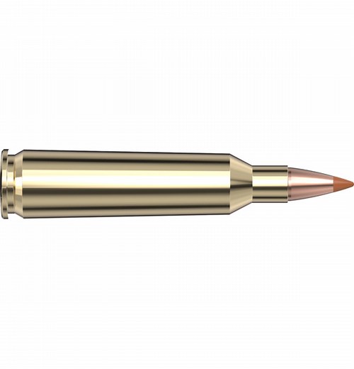 22‑250 Rem 35 gr NTX® Superformance® - Hornady Manufacturing, Inc