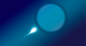 Data Suggests Sperm Count Decline is Accelerating Worldwide | Health And Medicine