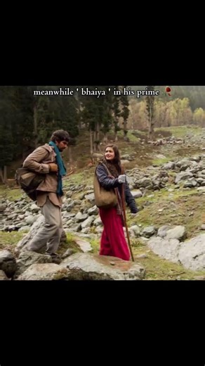 🎬 Laila Majnu(2018)