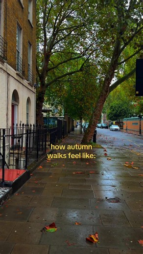 How Autumn Walks Feel Like: A Peak Season Nature Experience