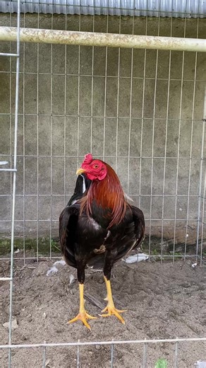 Cute Sweater Styles for Fall Fashion