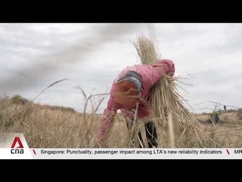From seeding drones to solar farms: A look at China’s battle against desertification