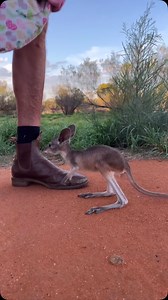 189K views · 10K reactions | The euro, also known as the common...