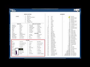 Visual Link Spanish: Bonus Section Lesson 6