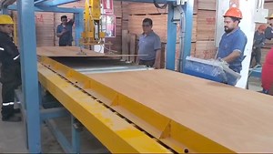 Automatic plywood sanding line for two sets of sanding machine WhatsApp : 86 15064931296 | Veneer peeling machine,plywood machine