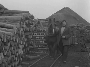 50K views · 205 reactions | Woolley Colliery, Barnsley, South Yorkshire | Barnsley Local Television | Facebook