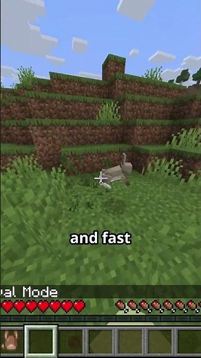 The Most Useless Minecraft Item…