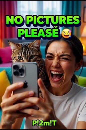 Cat HATES Selfies… Owner Finds Out 😂📸🐱