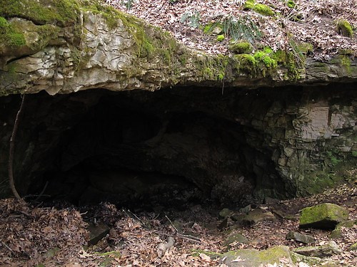 Ultimate Guide to Buckner Cave, Indiana (Tours, Pricing, History, Map)