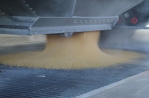 About Grain Trade - U.S. Grains & BioProducts Council