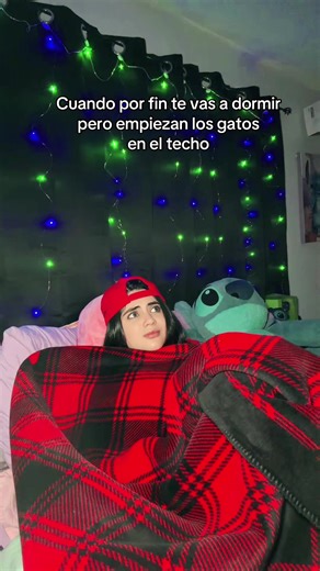 When Cats Keep You Up at 2 AM