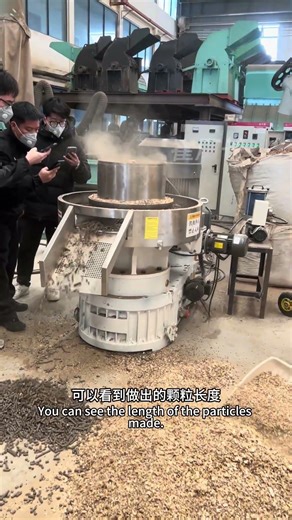Peanut shells are used to make biomass pellets instead of coal boilers. #生物质颗粒机