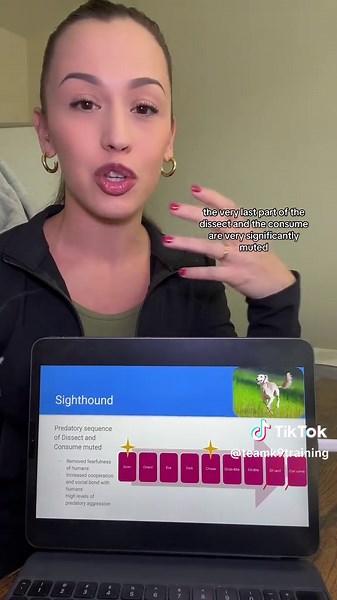 Understanding Dog Predation and Aggression Explained