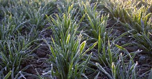 20 декабря: народный праздник и обычаи, что нельзя делать сегодня