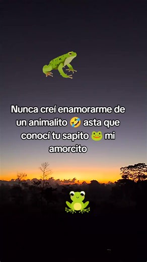 Nunca creí enamorarme de un animalito 🤣🤣 asta que conocí tu sapito 🐸 mi amor ❤️ #amor #foryou #sapito #fry #comedia