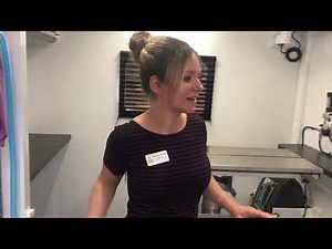 Introducing our mobile veterinary clinic, the Wellness Waggin'!