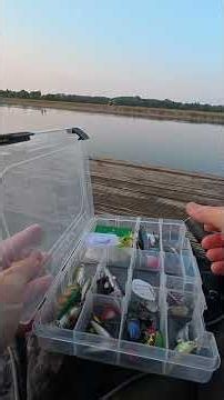 Perching On A Busy Thames #lurefishing #fishingfilms #riverfishing