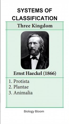 Two to Five Kingdom Classification systems | Monera, Protists, Fungi, Plantae, Animalia