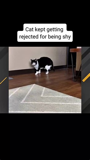 #geobeatsanimals #geobeats #animals #animal