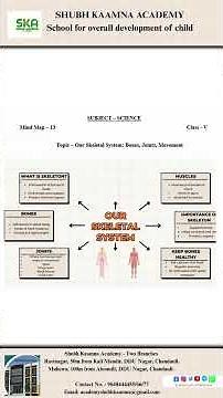 Class 5 | Mind map 13 | Science | Our Skeleton system