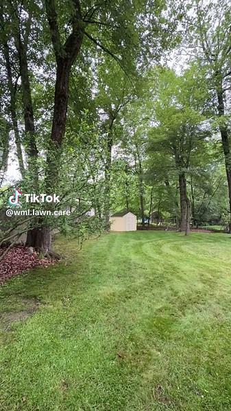 First time making this design and with a push mower, not to bad #fyp #lawn #viral