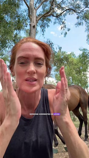Cleaning Hacks for Horse Owners: Keep Your Horse Pristine