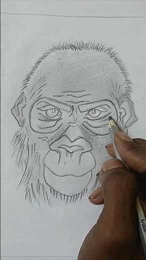 How to Draw a Gorilla (Step By Step)