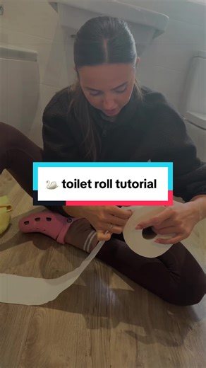 Elegant Toilet Roll Folding Tutorial
