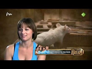 Fort Boyard - Nederland 2011 (serie 1)