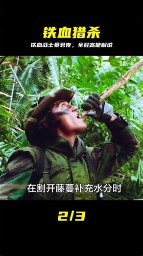 1987版鐵血戰士：這才是男人該看的硬核大片 #铁血战士 #丛林求生 #硬核动作 #动作电影 #电影解说