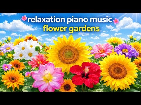 Blooming Flowers Gardens🌹 Calm Piano Music for Deep Sleep, Relaxation & Stress Relief