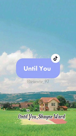 Feels like nobody ever loved me until you loved me #untilyou #shayneward #lyrics #love #lovesong #vietsub #nhachaymoingay #viral #tiktok