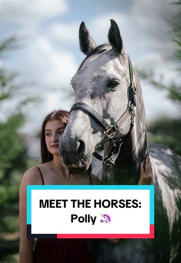 Meet Polly: The Star of Our Horse Series!