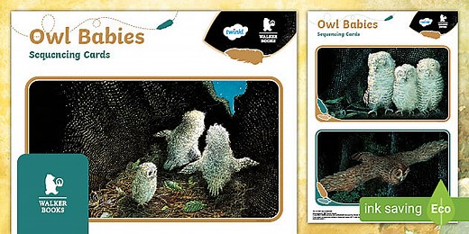 Owl Babies Sequencing Cards