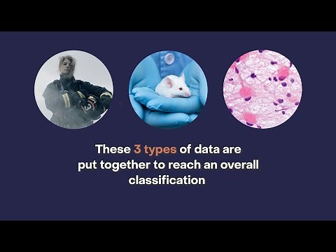 IARC Monographs hazard classification process