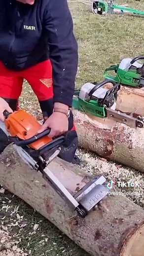 Easy Steps to Strip Bark from Trees