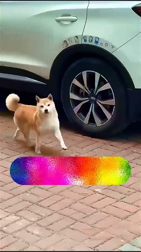 #vikramsarkar(Credit: @Zack D. Films)