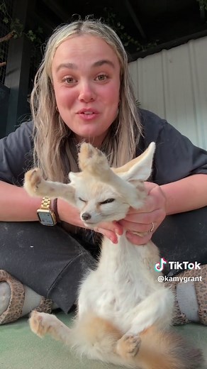Discover the Wonders of Fennec Foxes