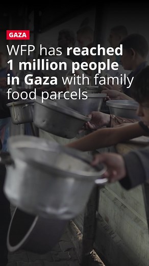 Three weeks into the ceasefire, one million people in Gaza have received WFP food parcels, but more crossings are needed for a continued scale-up. After two years of war, a 2-month blockade and months of insufficient food supply, families in Gaza are still struggling to put food on the table. | World Food Programme