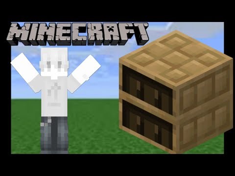 I Built the Chiseled Bookshelf in Minecraft!