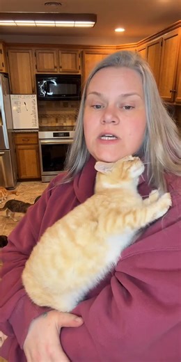 #livehighlights #tiktoklive | live