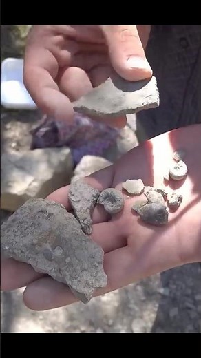 Echte Fossilien in der Natur finden! #summeronshorts
