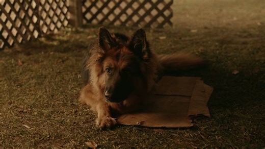 'NCIS: Origins' -- 'The beautiful ballad of Gary Callahan'